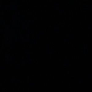 RESERVED: Lisa frank storage box